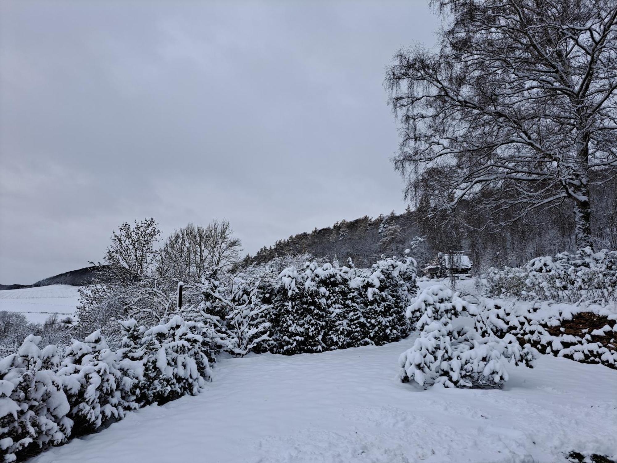 Sauerland-Tinyworld - Ihr Tiny Ferienhaus Im Sauerland Am Diemelsee Exterior foto