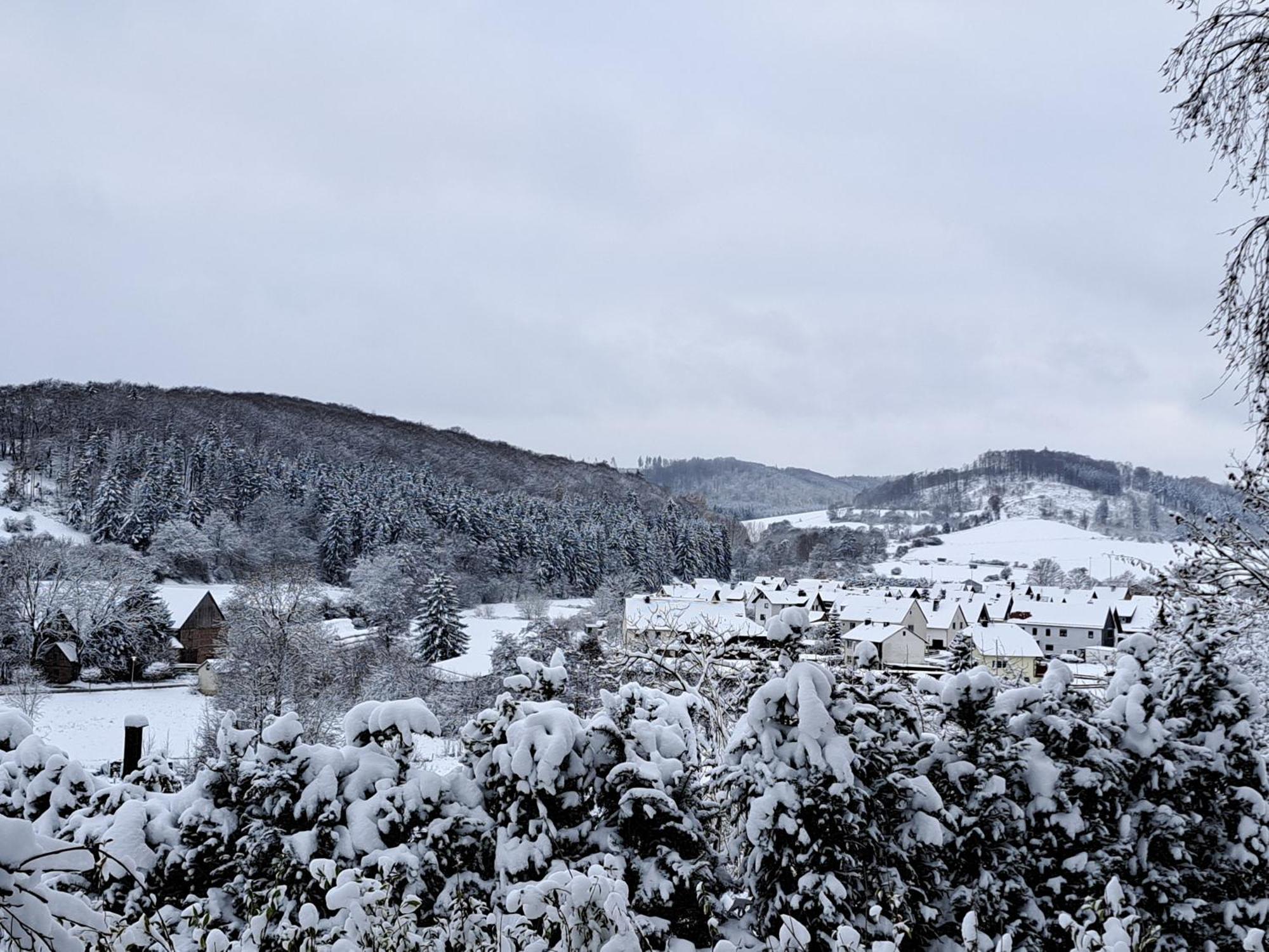 Sauerland-Tinyworld - Ihr Tiny Ferienhaus Im Sauerland Am Diemelsee Exterior foto
