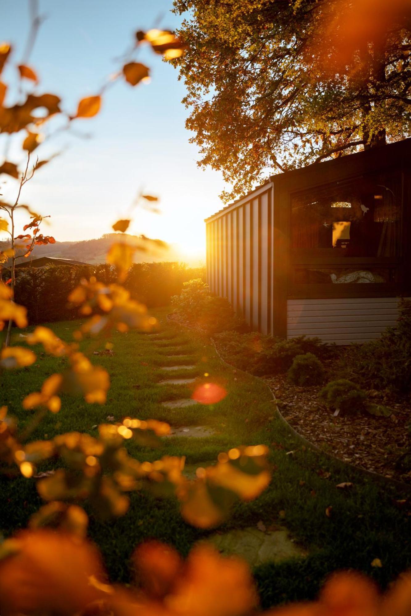 Sauerland-Tinyworld - Ihr Tiny Ferienhaus Im Sauerland Am Diemelsee Exterior foto