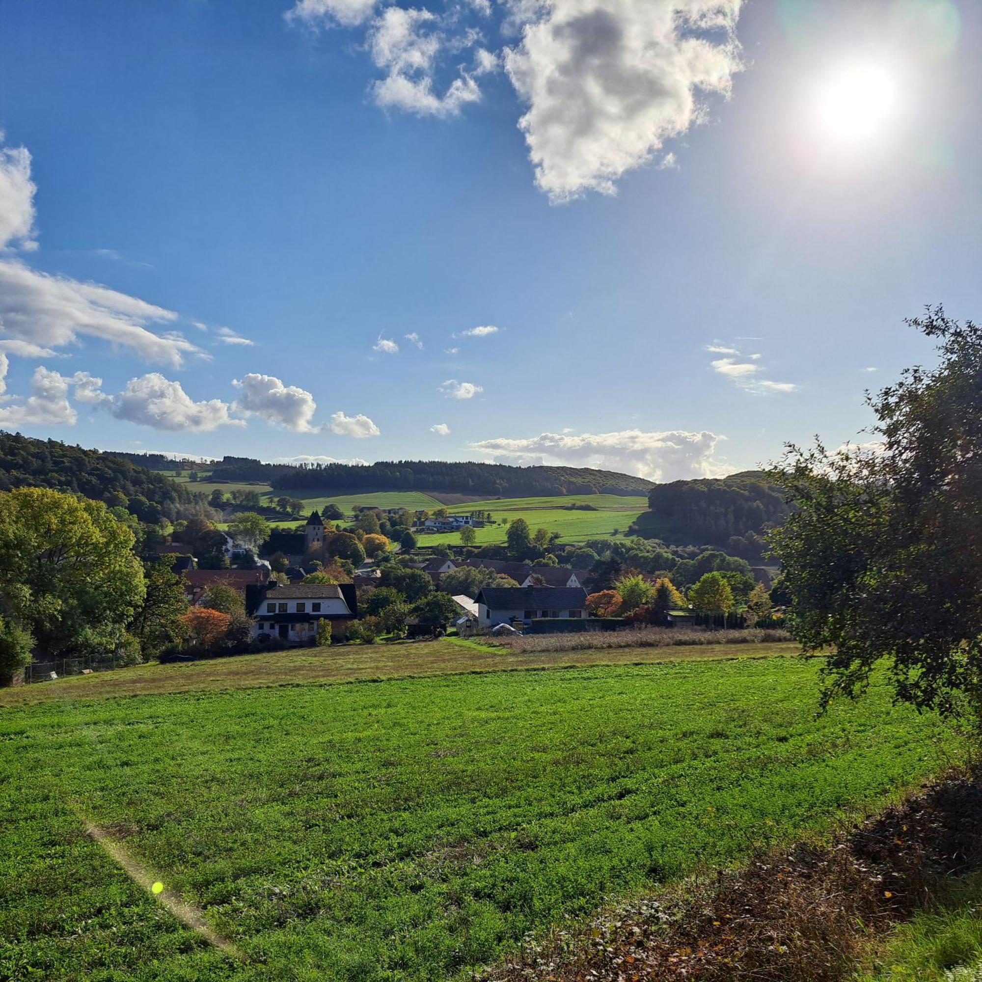 Sauerland-Tinyworld - Ihr Tiny Ferienhaus Im Sauerland Am Diemelsee Exterior foto