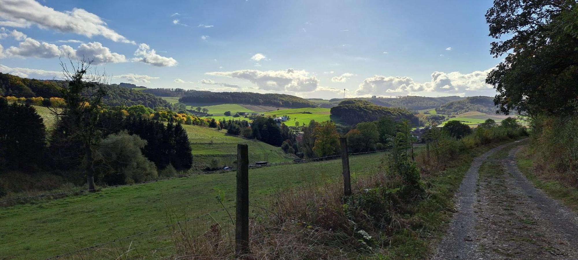 Sauerland-Tinyworld - Ihr Tiny Ferienhaus Im Sauerland Am Diemelsee Exterior foto