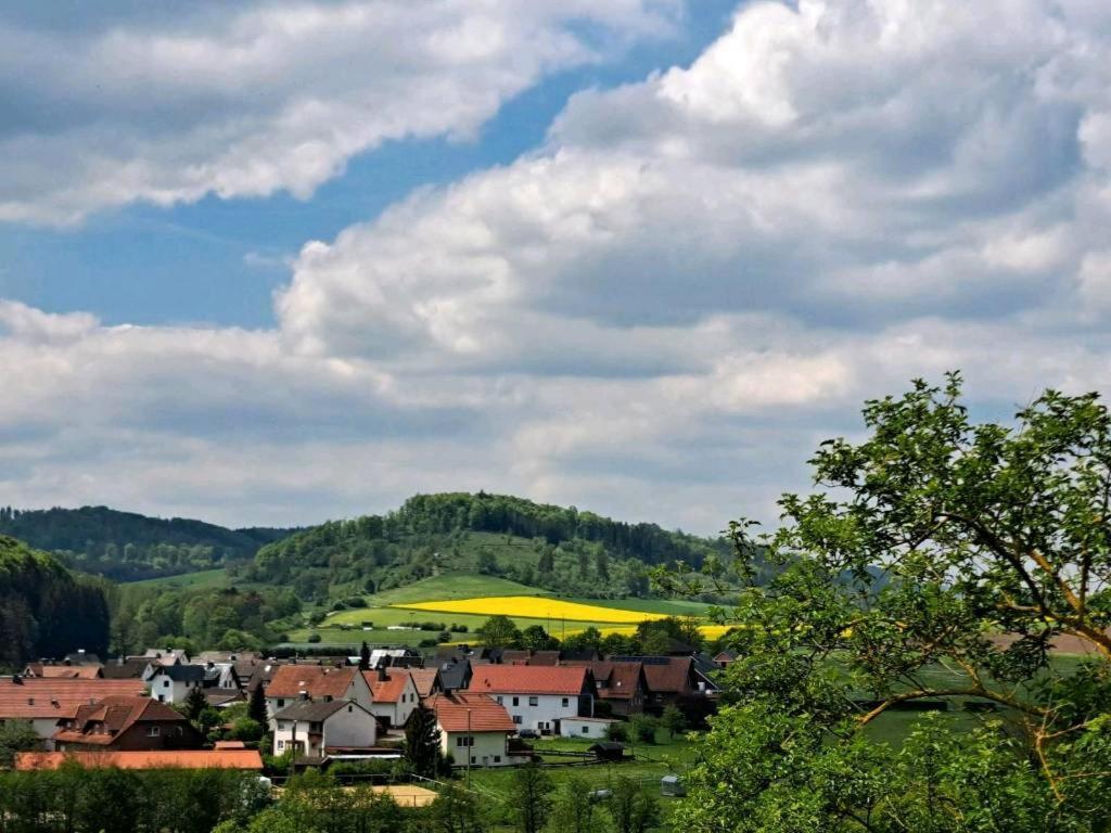 Sauerland-Tinyworld - Ihr Tiny Ferienhaus Im Sauerland Am Diemelsee Exterior foto